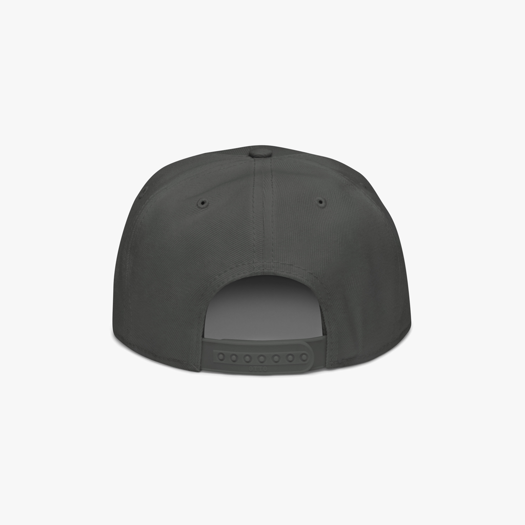 The back view of a charcoal grey snapback cap on a light gray background.